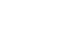 FastEX RTL